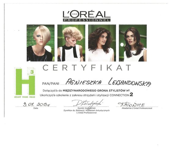 2013 — L’Oréal H³
